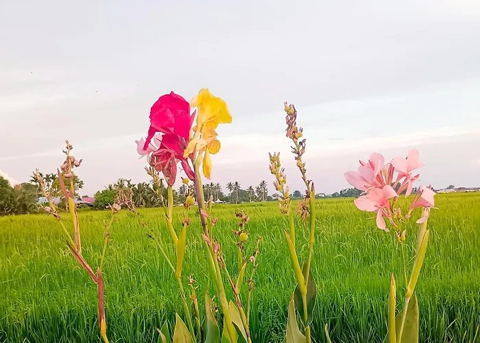 Kurau Inn Farmstay