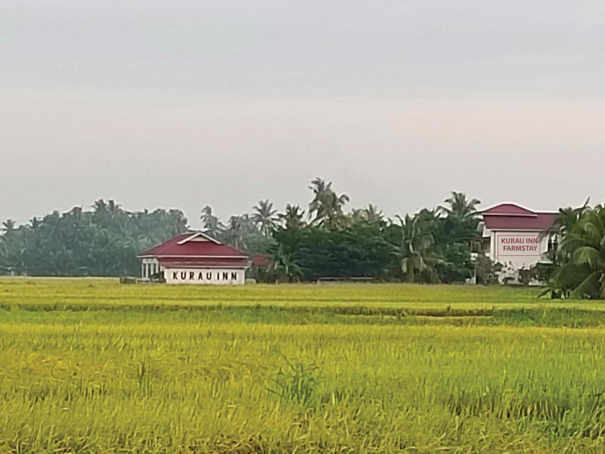 Kurau * Kuala Kurau