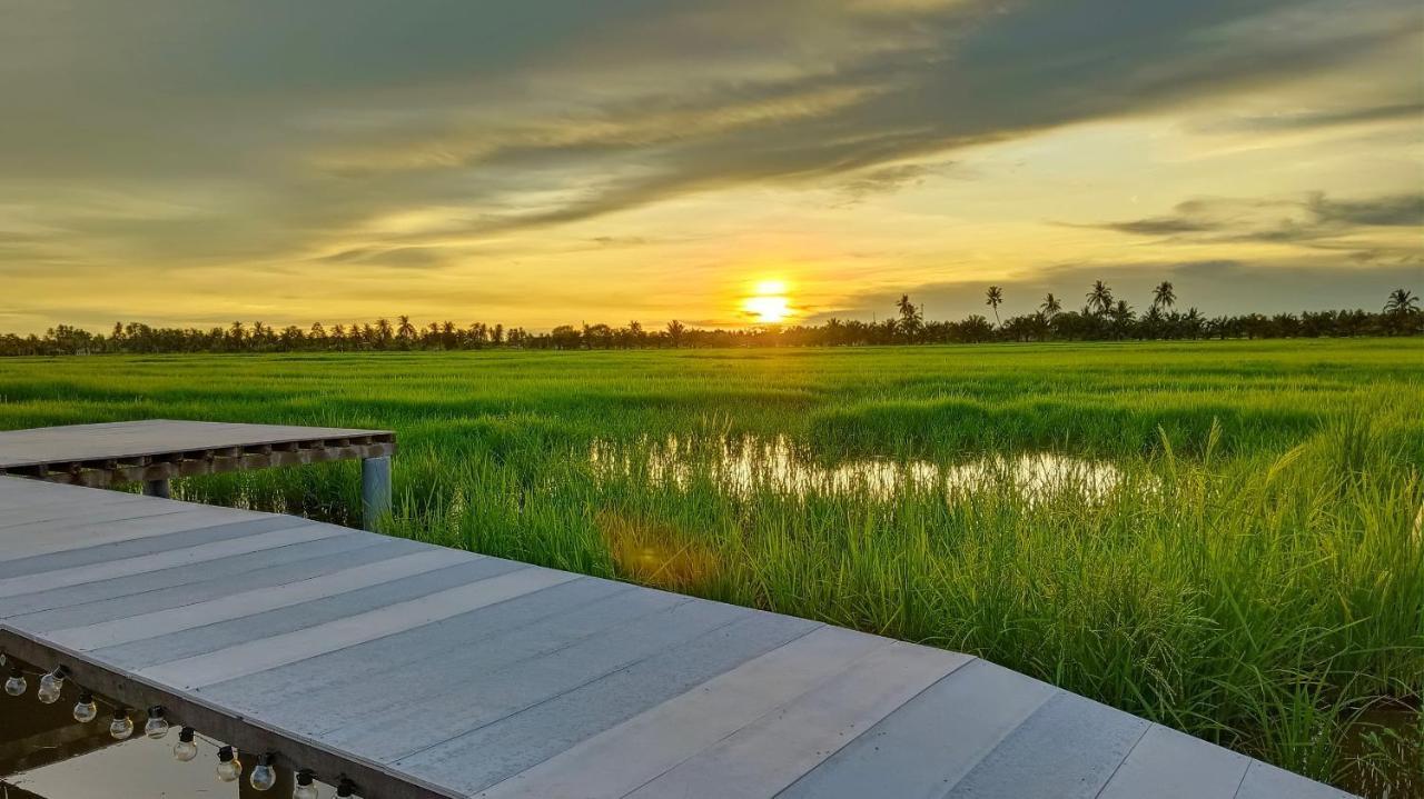 Farm stay Kurau