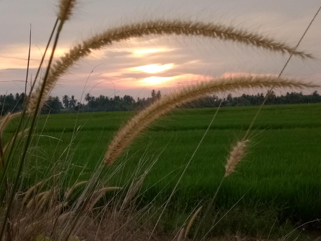 Farm stay Kurau *