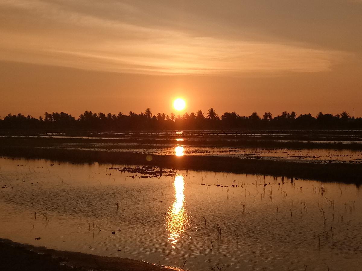 Kurau Farm stay