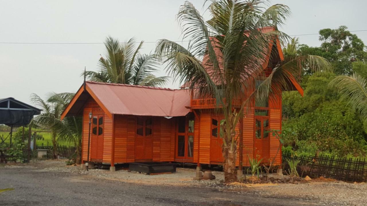 Farm stay Kurau